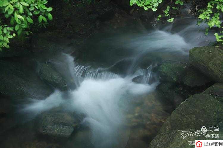 黄龙直捣溪水潺潺：探寻自然奇观背后的神秘力量