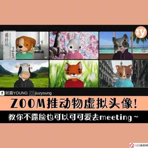 ZOOM 动物人：探索未知世界